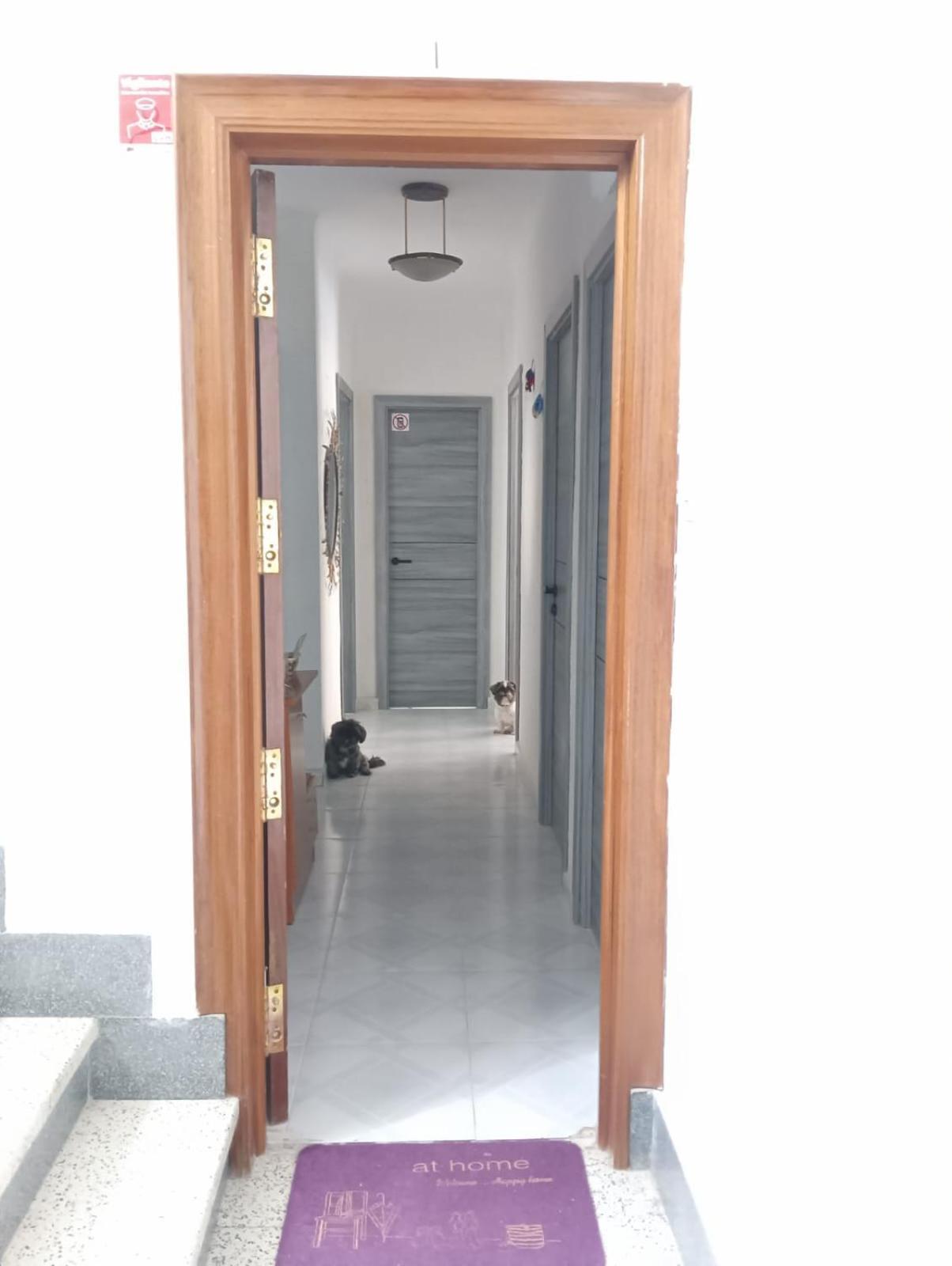 Alicante Habitacion Oasis 外观 照片